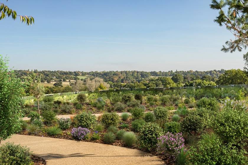 Gallery Ridgeway Views#