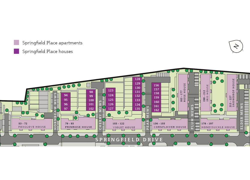 Site plan Springfield Place#