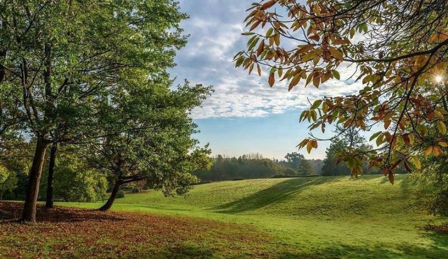 Sunningdale Park (Larch Avenue) Houses in None, London