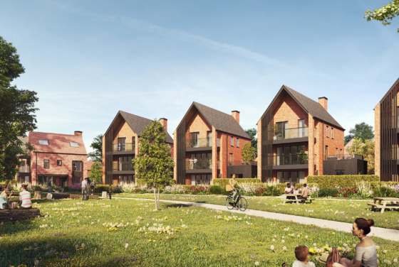 Brooklands Grove