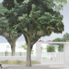 Central Somers Town Plots 5 and 6
