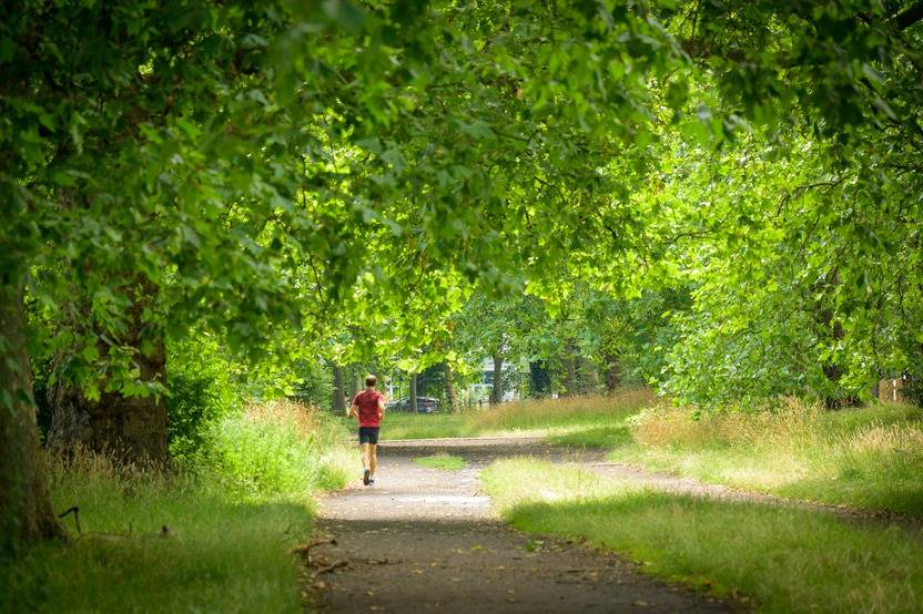 Gallery Arora Clapham Park#