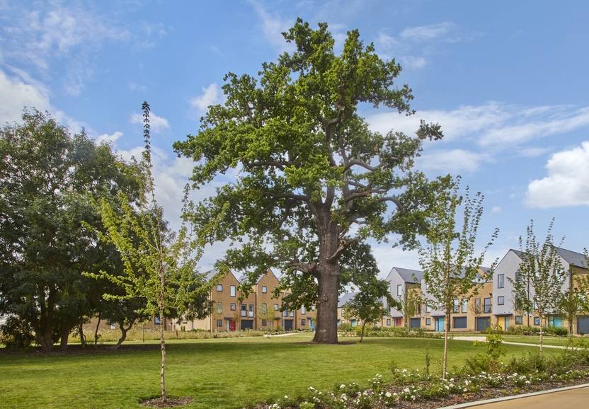 Gallery Base at Newhall#