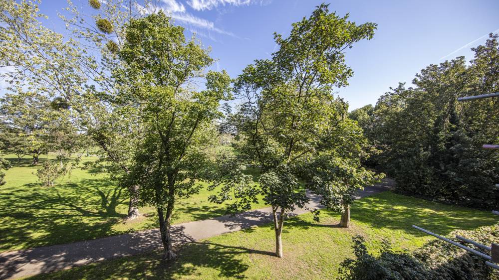 Gallery Park Quarter#