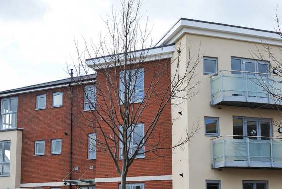 Springhead Park