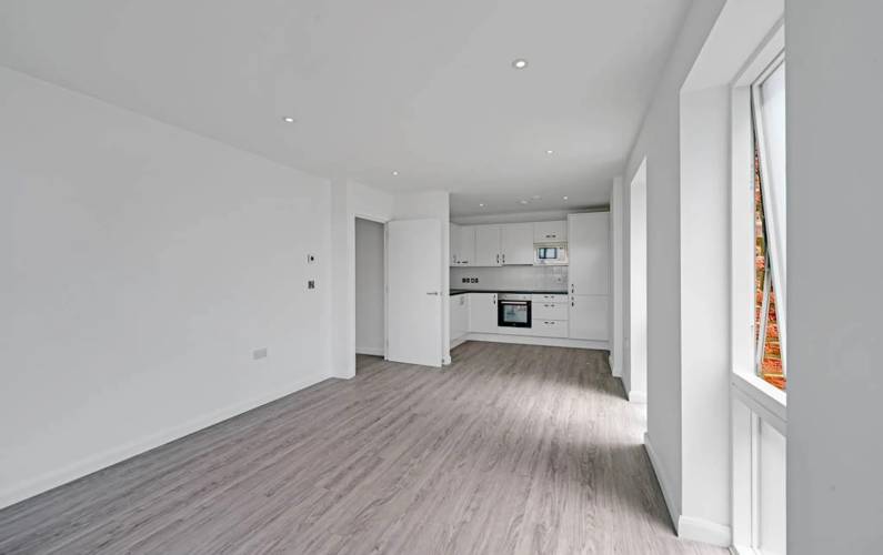 Interior design – Violet Road