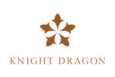 Knight Dragon