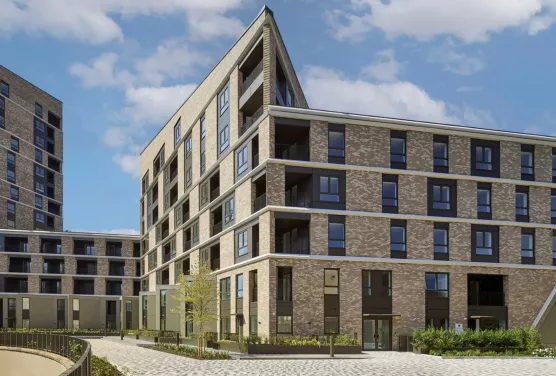 Square Roots Lewisham