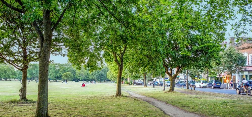 Gallery Wandsworth Common#