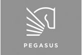 Pegasus Life