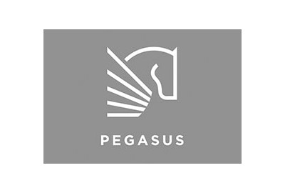assets/cities/spb/houses/pegasuslife-london/logo-pegasus.jpg