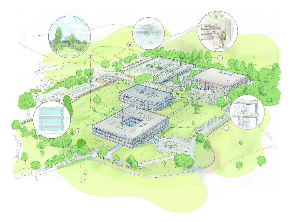 Site plan Hayes Park#