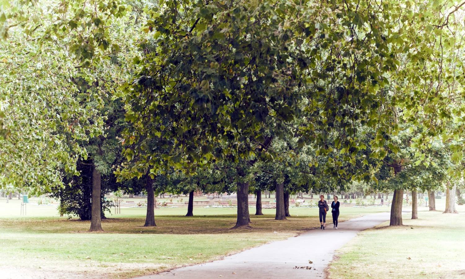 Quiet Victoria Park Village in London feels like a suburban village