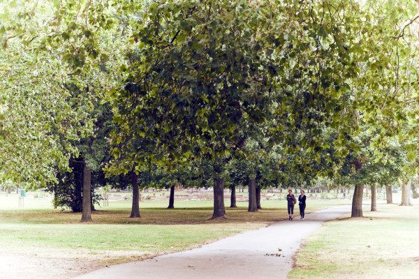 Quiet Victoria Park Village in London feels like a suburban village