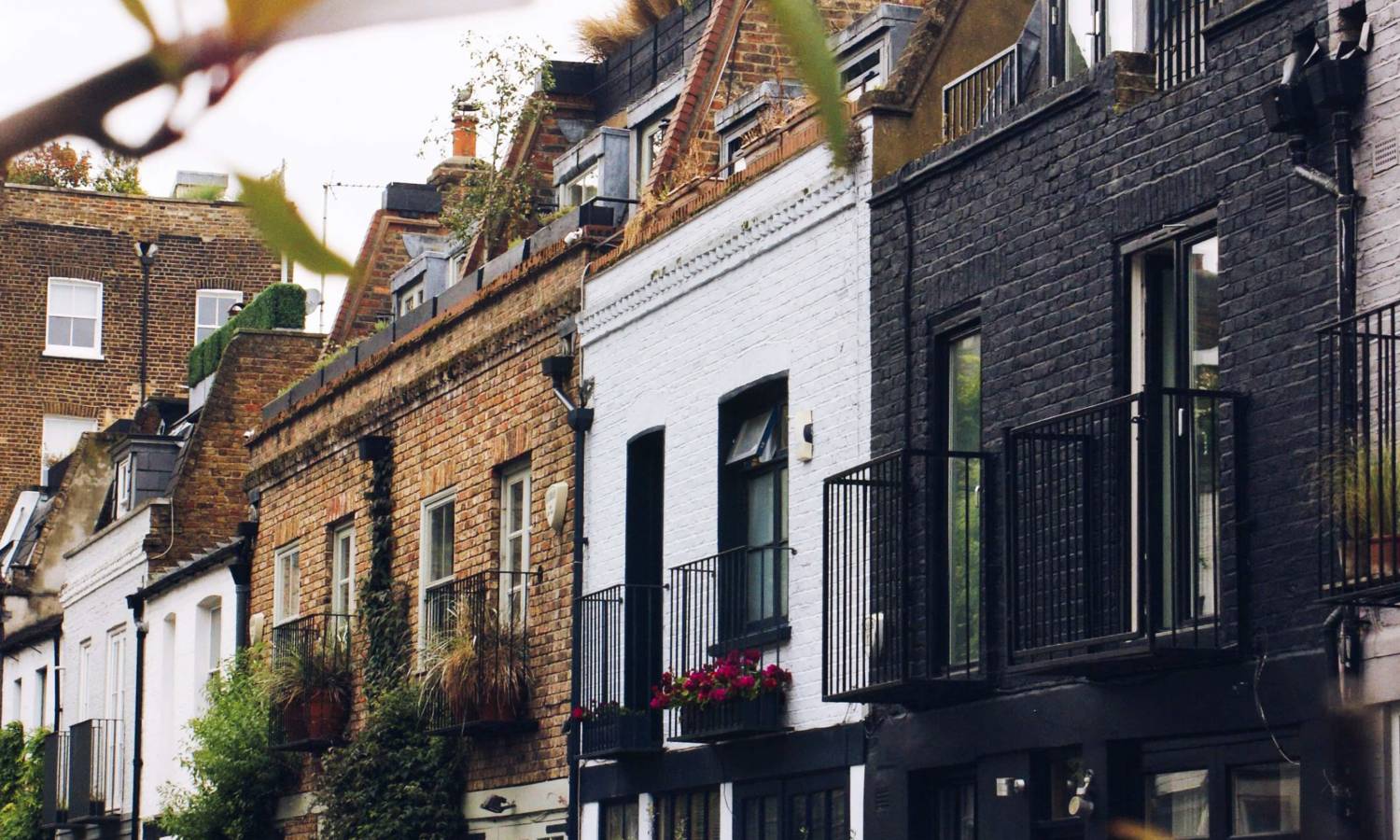 Exterior Trends In Notting Hill Take a Sharp Turn