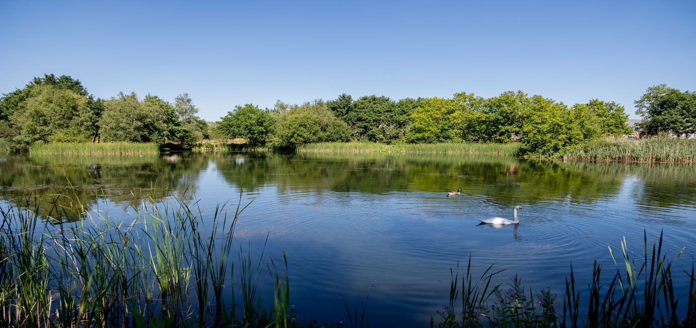 Gallery Water's Edge