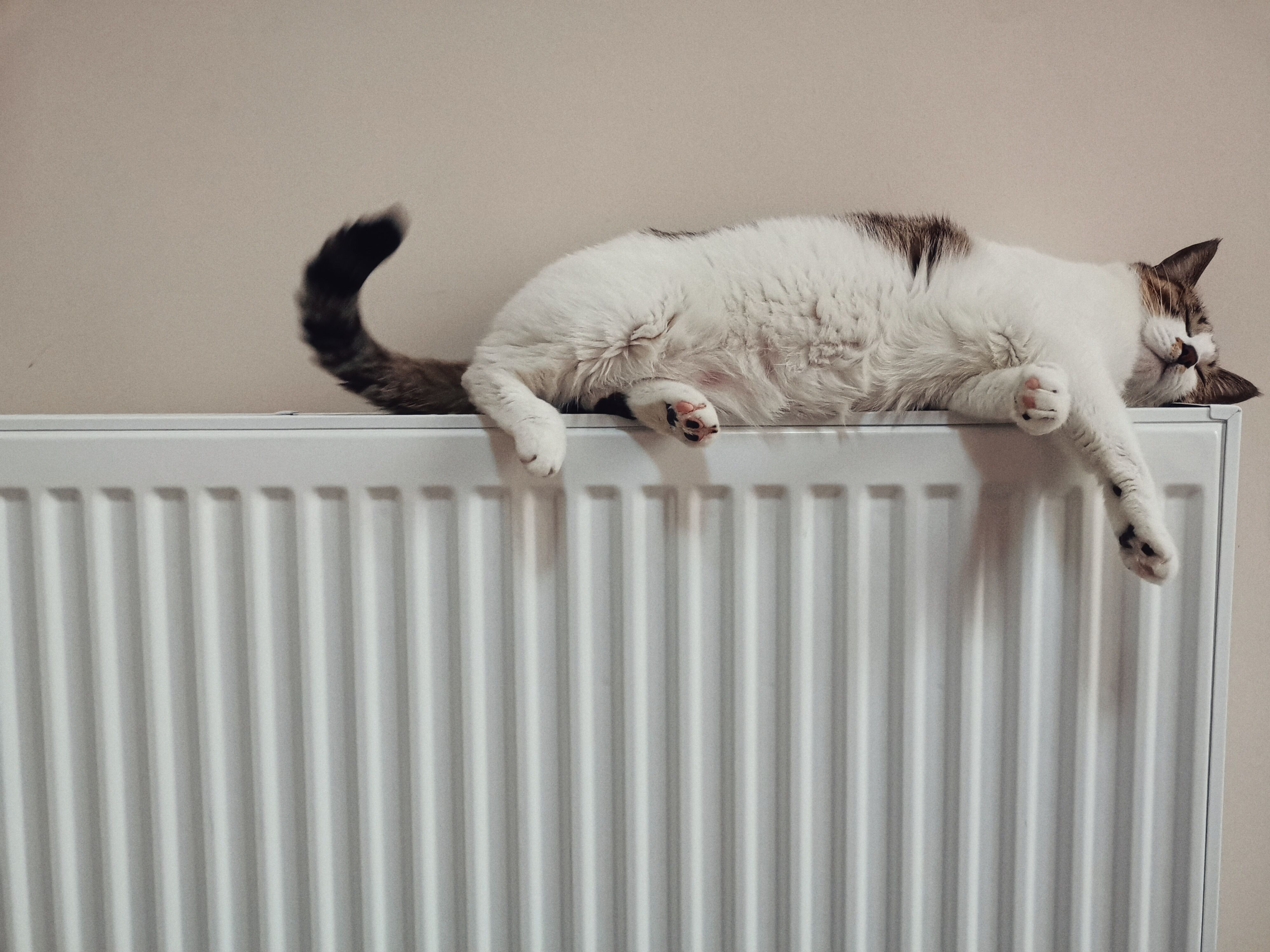 Radiator Checks