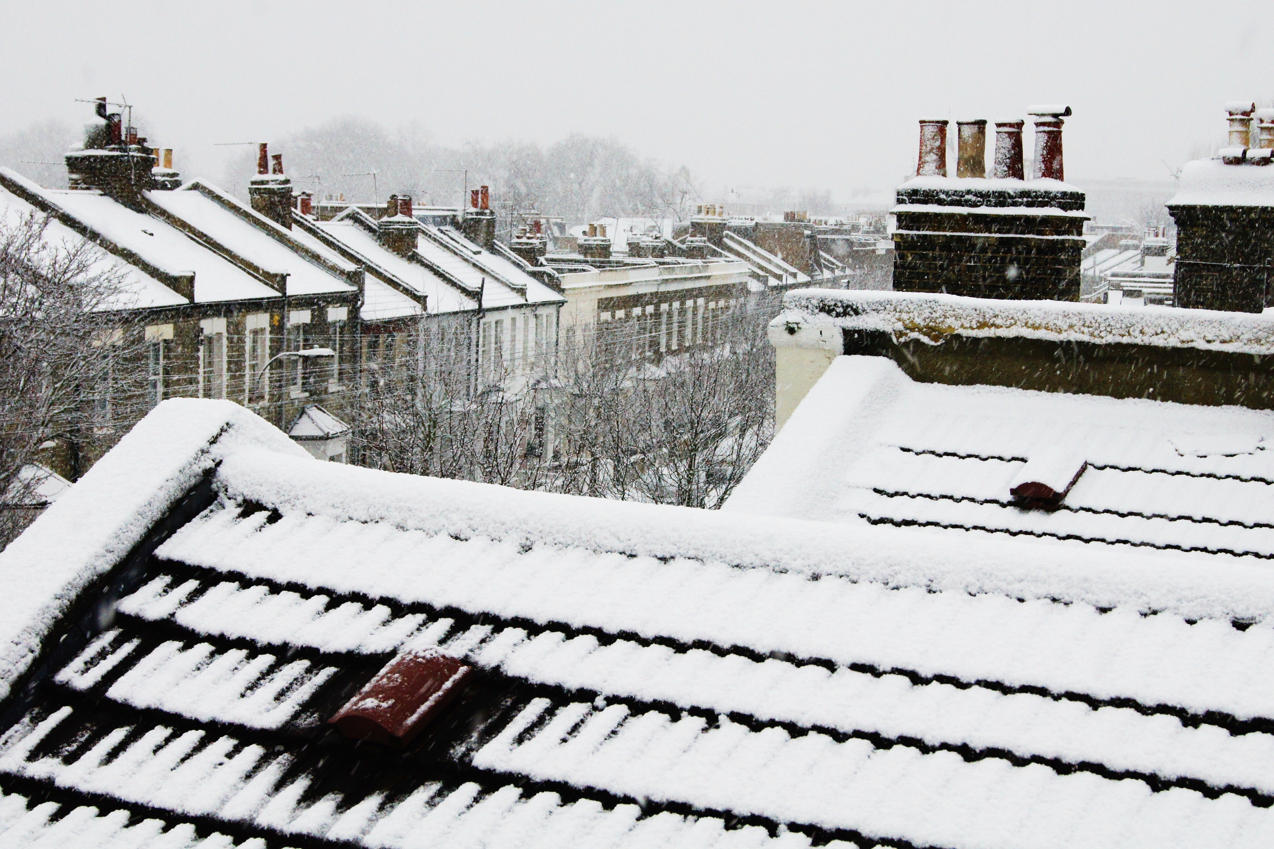 London Roofs